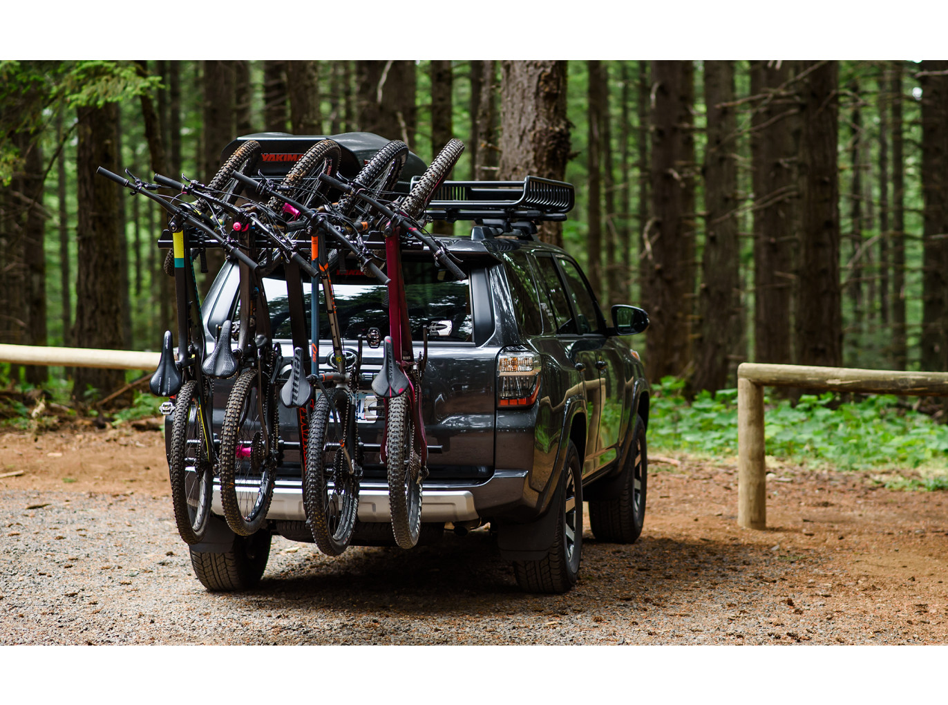 yakima hitch mount bike rack
